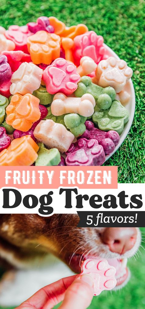 Easy Frozen Dog Treats (5 Flavors!) Dog Treats With Fruit, Cold Treats For Dogs, Fruit Treats For Dogs, Ice Dog Treats, Dog Treat Food Truck, Cold Dog Treats Homemade, Healthy Frozen Treats For Dogs, Popsicle Recipes For Dogs, Easy Frozen Dog Treats