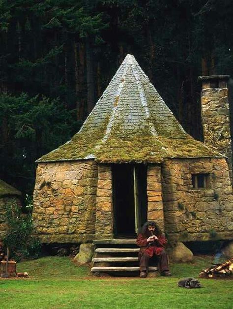 Hagrid's house Hagrids Hut, Rubeus Hagrid, Harry Potter Love, Harry Potter World, Old Stone, Stone Houses, Fairy Houses, Harry Potter Fan, Gecko