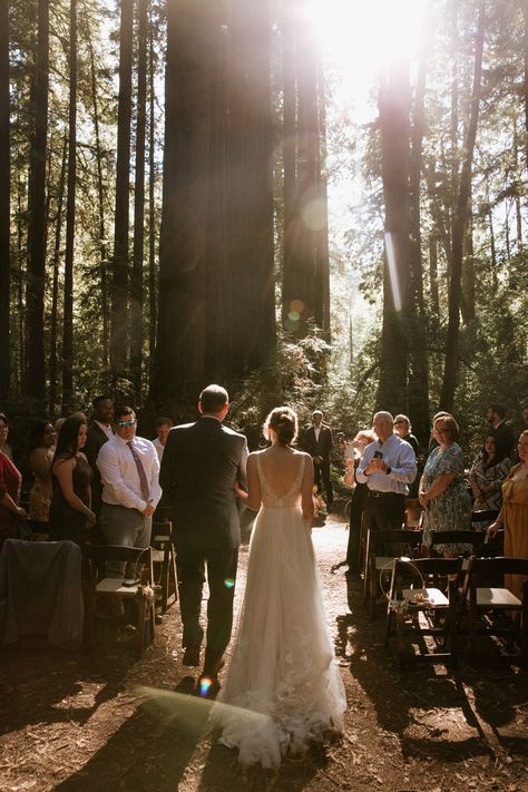 Intimate forest wedding in Santa Cruz by elopement photographer Paige Nelson, with ceremony in Henry Cowell Redwoods State Park near Felton and family style meal at Ristorante Casa Nostra in Ben Lomond. Intimate Forest Wedding Ceremony, Forest Wedding Ontario, California Redwoods Wedding, Forest Wedding Elopement, Redwoods Wedding California, Henry Cowell Redwoods State Park, Forest Elopement Dress, Forest Wedding Portraits, Micro Wedding Inspiration