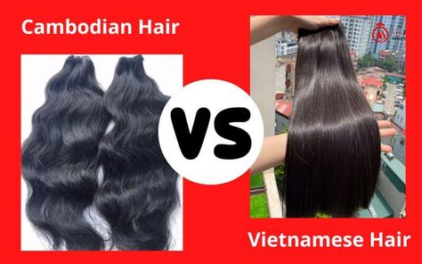 According to industry experts, the quality, pricing, and selection of products available for cambodian hair vs vietnamese hair vary significantly Vietnamese Hair, Types Of Hair Extensions, Cambodian Hair, Voluminous Hair, Coarse Hair, Long Black Hair, Hair Quality, Hair Strand, Hair Fibers