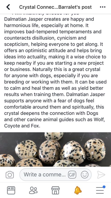 Dalmatian Jasper Crystal Meaning, Dalmation Jasper Crystal Meaning, Dalmatian Jasper Meaning, Dalmatian Crystal, Happy Witches, Crystal Dictionary, Magic Rocks, Stone Meanings, Dalmation Jasper