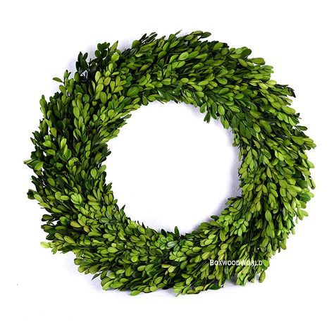 PRICES MAY VARY. preserved boxwood wreath Preserved boxwood wreath home decor 10-24 inches for choose Preserved Boxwood Wreath, Preserved Boxwood, Wedding Home Decoration, Boxwood Wreath, Green Wreath, Stay Fresh, Wreath Decor, Christmas Wreath, Halloween Christmas