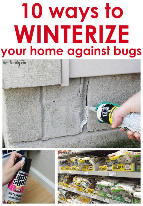 10 ways to winterize your home against bugs! Great tips! Winterize Your Home, Home Maintenance Checklist, Home Improvement Loans, Home Fix, Up House, Diy Home Repair, Interview Tips, E Learning, Home Repairs