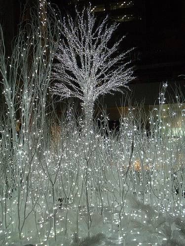 Glistening Lights Lighted Trees, Winter Wonderland Christmas Party, Winter Wonderland Christmas, 12 December, White Lights, Christmas Wonderland, Winter Wonder, Noel Christmas, Holiday Lights