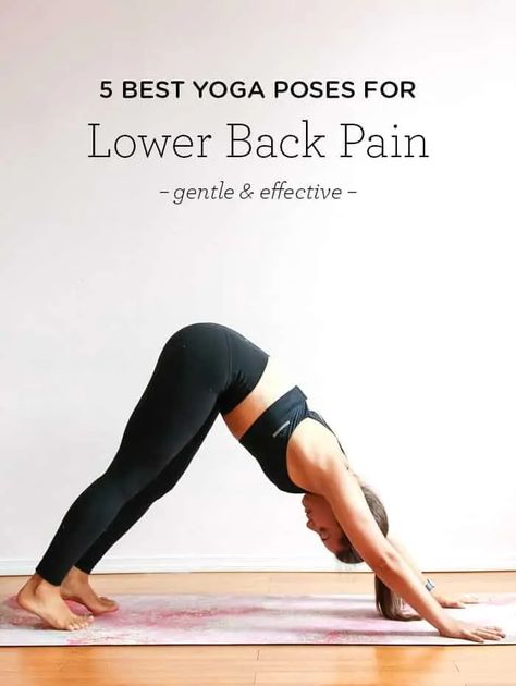 Yoga Poses For Lower Back, Yoga Poses For Back, Yoga Nature, Yoga Kundalini, Best Yoga Poses, Latihan Yoga, Easy Exercises, Yoga For Back Pain, Yoga Posen