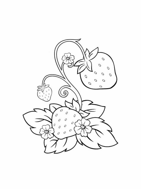 Drawing For Painting, Digital Art Practice, Painting Strawberries, Food Strawberry, Strawberry Drawing, Vine Drawing, Fruit Coloring Pages, Spring Coloring Pages, Flower Outline