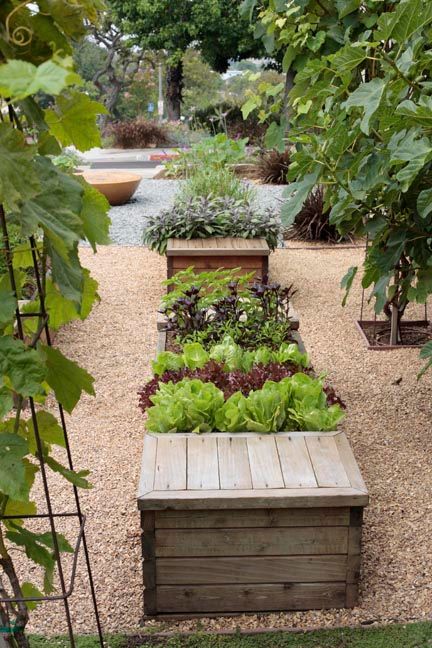 Garden Bed From Pallets, Pallet Garden Bed, Diy Pallet Garden, City Gardens, Pallets Diy, Sensory Garden, Potager Garden, Veg Garden, Pallet Garden