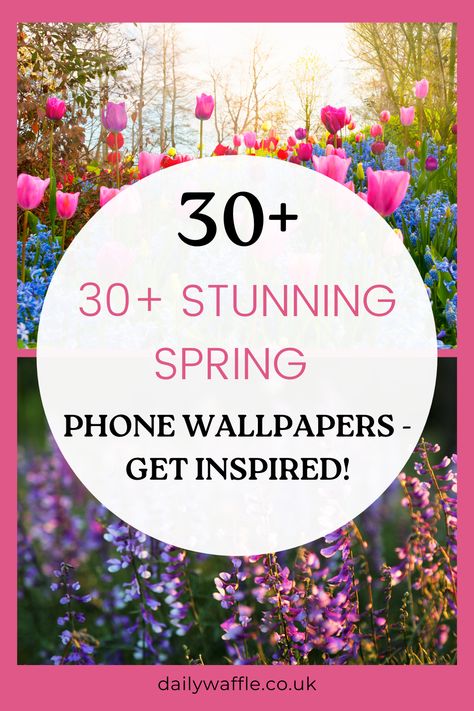 Get ready for spring with these stunning phone wallpapers! 🌸📱 Transform your iPhone with these beautiful spring-inspired backgrounds. From vibrant floral patterns to scenic landscapes, these wallpapers will bring a burst of freshness to your device. Download now and give your phone a colorful makeover! #SpringWallpapers #PhoneWallpapers #WallpapersForiPhone #GetReadyForSpring #DownloadNow Spring Phone Wallpapers, Walking On Broken Glass, Hearth Decor, Capes For Kids, Free Phone Wallpaper, Spring Wallpaper, Wallpaper For Your Phone, Spring Aesthetic, Spring Inspiration