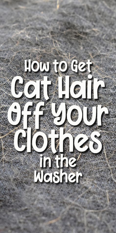 How to Get Cat Hair off Your Clothes in The Washing Machine How To Get Cat Hair Off Clothes, How To Get Pet Hair Off Clothes, How To Clean Cat Hair Off Furniture, How To Get Dog Hair Off Clothes, Pet Hair Removal Laundry, Diy Washing Machine, Cat Colony, Cat Deterrent, Cat Advice