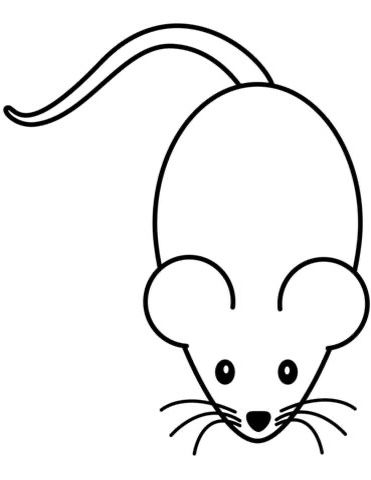 Mouse Drawing Simple, Mouse Drawing Easy, Maus Illustration, Mouse Applique, Mouse Paint, Mouse Tattoos, Fathers Day Art, Mickey Mouse Coloring Pages, Mouse Drawing