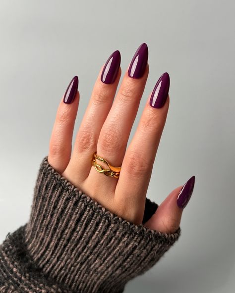 Lights Lacquer, Home for the Harvest 🧺 The purple we’ve been missing 😍💜 Figgy Delight, a plum purple polish with a creme finish • use code COLORNOOK to save on your purchase @lightslacquer • use code THECOLORNOOK to save on your purchase @nominal #lightslacquer #homefortheharvest #fallnails #fallnailcollection #nailpolishswatch #nailswatch #nailinspo #purplenails #fignails #auberginenails #figgydelight purple crème nail polish autumn fall Reddish Purple Nails, Brown Purple Nails, Autumn Nails Purple, Fall Nails Plum, Wine Purple Nails, Aubergine Nails, Purple Autumn Nails, Dark Purple Fall Nails, Plum Purple Nails