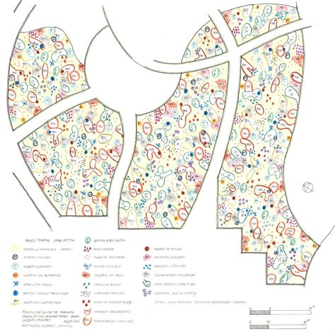 Piet Oudolf Meadow-Lower Section — Delaware Botanic Gardens Urban Spaces Design, Low Maintenance Garden Design, Shade Garden Design, Piet Oudolf, Landscape Design Drawings, Tropical Garden Design, Prairie Garden, Meadow Garden, Planting Plan