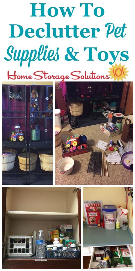 Dog Supplies Organization, Pet Supplies Organization, Decluttering Inspiration, Pet Organization, Diy Furniture Decor, Pet Food Storage, How To Declutter, Home Storage Solutions, Stuffed Animal Storage