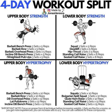 Do not forget to Follow me 4 Day Split Workout, Split Workout Routine, 4 Day Workout, Workout Split, Full Body Workout Routine, Workout Splits, Muscle Building Workouts, Weight Training Workouts, Body Strength