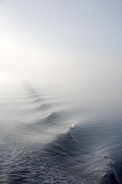 Fog Mist Nature - Free photo on Pixabay Earth Atmosphere, Sea Nature, Ocean Pictures, Atmospheric Phenomenon, Nature Water, Screen Saver, Water Waves, Chiaroscuro, Public Domain Images