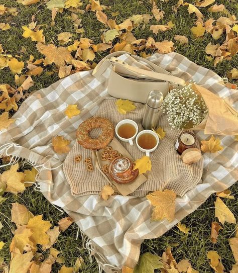 Fall Picnic Aesthetic, Fall Picnic Food, Autumn Aesthetic Halloween, Cottagecore Moodboard, Aesthetic Halloween Wallpaper, Wallpaper Fall Aesthetic, Autumn Picnic, Fall Bonfire, Winter Picnic