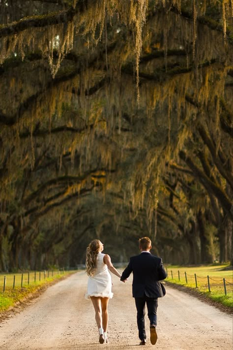 Wormsloe Savannah Ga Photos, Saint Louis Engagement Photos, Bayou Engagement Photos, Savannah Georgia Engagement Photos, Engagement Photos Georgia, Wormsloe Engagement Photos, Charleston Sc Couple Photos, Scottsdale Engagement Photos, South Carolina Engagement Photos