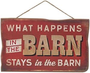 Barn Living Room, Laser Gifts, Usa Places, Hog Heaven, Barn Living, Hunting Decor, Party Barn, Barn Wood Signs, Kitchen Open