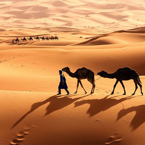 Young Tuareg with camel on Western Sahara Desert in Africa Arabian Nights Aesthetic, Camels Desert, Desert Aesthetic, Desert Photography, Western Sahara, Desert Tour, Desert Travel, Sahara Desert, Arabian Nights