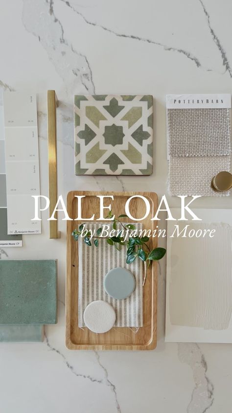 Tara Nelson | Pale Oak by Benjamin Moore. The perfect greige!🤍 Welcome to one of Benjamin Moore’s top sellers; the one and only Pale Oak. This… | Instagram Pale Green Benjamin Moore, Pale Oak Coordinating Colors, Simply White Trim, Pale Oak Benjamin Moore, House Color Schemes Interior, Perfect Greige, Bedroom 2023, Pale Oak, Coastal Color Palette