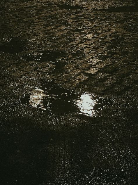 rainy Puddle Aesthetic, Sustained Investigation, A Court Of Mist And Fury, Newsies, Aesthetic Images, Life Cycle, Life Cycles, Black And White Photography, Mist