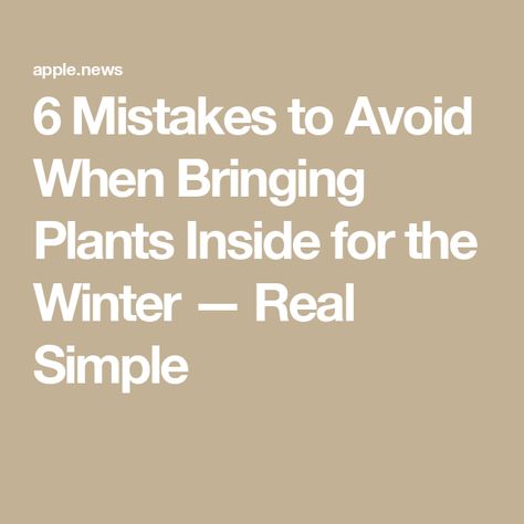 6 Mistakes to Avoid When Bringing Plants Inside for the Winter — Real Simple Bringing In Plants For Winter, Winter Indoor Plant Setup, How To Bring Outdoor Plants Inside, Bringing Plants Inside For Winter, Nantucket Garden, Nantucket Gardens, Gardening Hacks, Plant Ideas, Plants Indoor