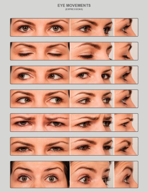 Anatomy For Sculptors, Eye Reference, Facial Expressions Drawing, Eye Study, Face Angles, Eye Expressions, Drawing Face Expressions, Face Anatomy, Expressions Photography