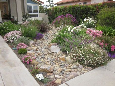 Create a Beautiful Drought Resistant Front Yard | Sonoma Magazine Shed Inspiration, Xeriscape Landscaping, Small Front Gardens, Lawn Alternatives, Walkway Landscaping, Pathway Landscaping, Small Front Yard Landscaping, Front Garden Design, Front Yard Garden Design