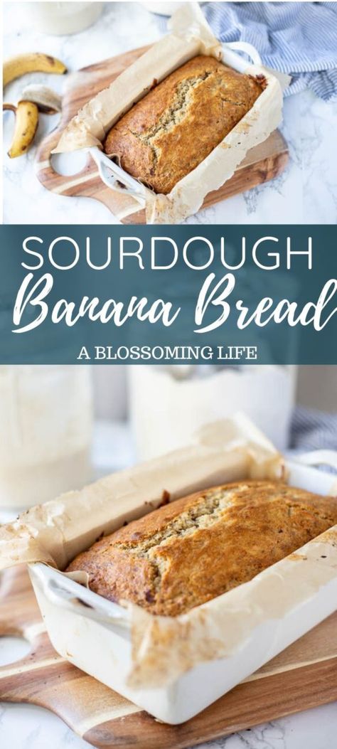 Fermented Grains, Sourdough Banana Bread Recipe, Sourdough Banana Bread, Sourdough Banana, Banana Bread Recipe Healthy, Sourdough Starter Discard Recipe, Sourdough Starter Recipe, Healthy Banana Bread, Healthy Banana