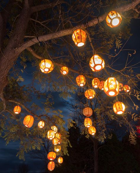 Japanese Garden At Night, Tree With Lanterns, Lanterns In Trees, Toddler Boy Bedroom Ideas, Lanterns At Night, Poster Moodboard, Toddler Boy Bedroom, Travel Themed Bedroom, Lantern Tree