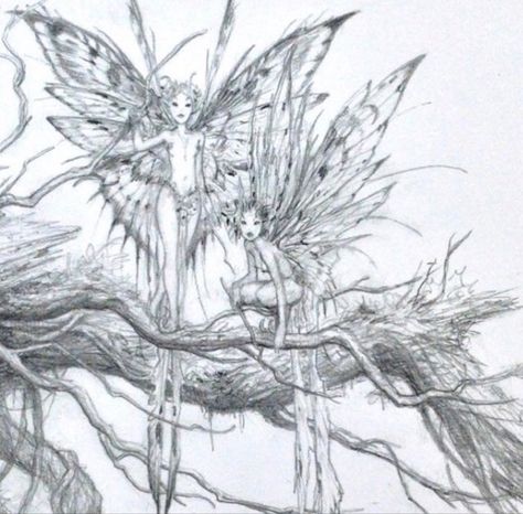 pls help me find the artist!! Fairy Girls, Pencil Drawing, A Tree, Pencil, Twitter, Instagram