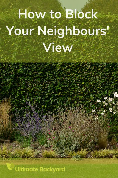 Want more privacy in your backyard without causing a fuss with the neighbours? This guide offers 11 clever ways to block views into your outdoor space. From growing a tall hedge or bamboo to building an enclosed patio or pergola, find the solution that fits your style and space. You can even use outdoor curtains or create a living wall for a natural touch. Ready for a more private and peaceful backyard? Bamboo Fencing Ideas Backyard Privacy, Privacy Fence Covering Ideas, Bamboo Hedge Living Fence, Privacy Without Fence, Diy Privacy Wall Outdoor, How To Create Privacy In Backyard, Natural Privacy Fence Ideas, Create Privacy In Backyard, Tall Pergola