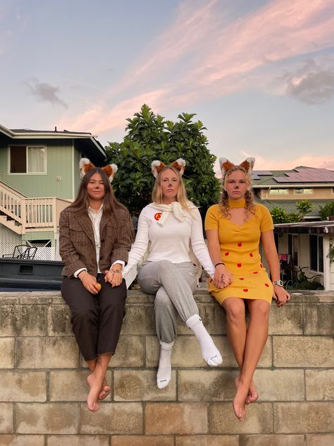 Vine Costumes Spirit Week, Fantastic Mister Fox Costume, Fantastic Mr Fox Outfit Ideas, Unique Single Halloween Costumes, British Halloween Costumes, Mr And Mrs Fox Costume, Wes Anderson Halloween Costumes, Trio Cosplay Ideas, Ash Fantastic Mr Fox Costume