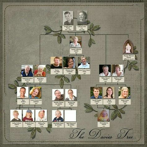 Genealogy Crafts, Family Tree Book, Heritage Scrapbook Pages, Family Tree With Pictures, Family Tree Designs, Family Tree Photo, Family Tree Art, Family Tree Project, Heritage Scrapbooking