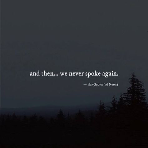 and then ... we never spoke again. Sister Quotes, Meaningful Things, Fina Ord, Motiverende Quotes, Intj, Infp, Heartfelt Quotes, A Quote, Reality Quotes