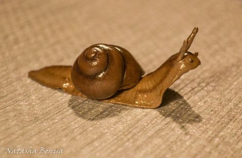 Diy Clay Snails, Insect Sculpture Clay, Polymer Clay Decor Home, Snail Clay Sculpture, Clay Snails Sculpture, Clay Garden Sculptures, Air Dry Clay Snail, Polymer Clay Snails, Nature Clay Projects