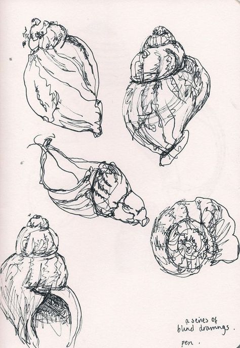 Cool Things To Draw, Shell Drawing, Natural Form Art, Art Coquillage, Observational Drawing, Pen Drawings, Posca Art, Contour Drawing, Things To Draw