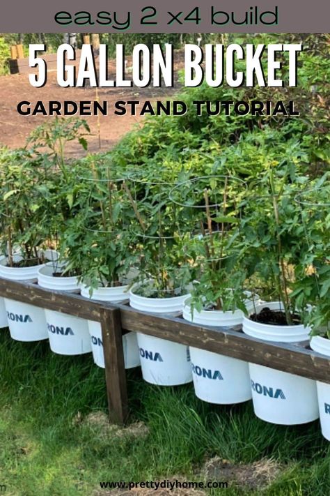 Tired of your 5-gallon bucket garden being messy and disorganized. Build a stand to showcase your plants and save room in your outdoor area. Bucket Garden Stand, Gallon Bucket Garden, 5 Gallon Bucket Garden, Bucket Garden, Tomato Planter, Growing Vegetables In Pots, Bucket Gardening, Vegetable Garden Planning, Convertible Furniture