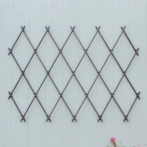 Wall Mounted Trellis, Expanding Trellis, Wrought Iron Trellis, Lattice Garden, Small Trellis, Decorative Shelf Brackets, Iron Trellis, Screen Plants, Metal Trellis