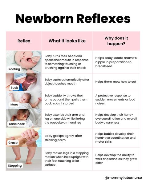 Did you know that when your sweet baby is born they come into this world with 6 distinct newborn reflexes? Today we’re going to dive in head first and learn all about newborn reflexes! Reflexes Of Newborn, Newborn Reflexes, Peds Nursing, Newborn Nursing, Student Midwife, Labor Delivery Nursing, Labor Nurse, Ob Nursing, Baby Nurse