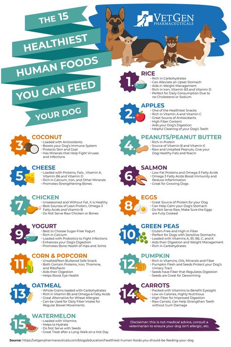 Human Food For Dogs, Black Bean Ground Beef, Foods For Dogs, Foods Dogs Can Eat, Dog Infographic, Dog Remedies, Healthy Dog Treats Homemade, Healthy Dog Food, Food For Dogs