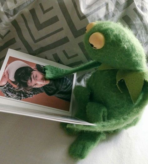 #EXO #exol #kermit #Lay #Yixing #kermitthefrog #frog #me #same #pic #picture #sentimental #emotion #emotions #love #admire #admiring #touch #album #relatable #muppets #singer #boy #guy #boygroup #kpop #comedy #funny #hilarious #meme #Xiumin #Minseok #Suho #Junmyeon #Baekhyun #Chen #Jongdae #Chanyeol #DO #Kyungsoo #Kai #Jongin #Sehun #엑소 Sapo Meme, Kermit Meme, Kermit Funny, Exo Luhan, Cute Animal Memes, Baekhyun Chanyeol, Reaction Pic, Exo Lay, Exo Memes