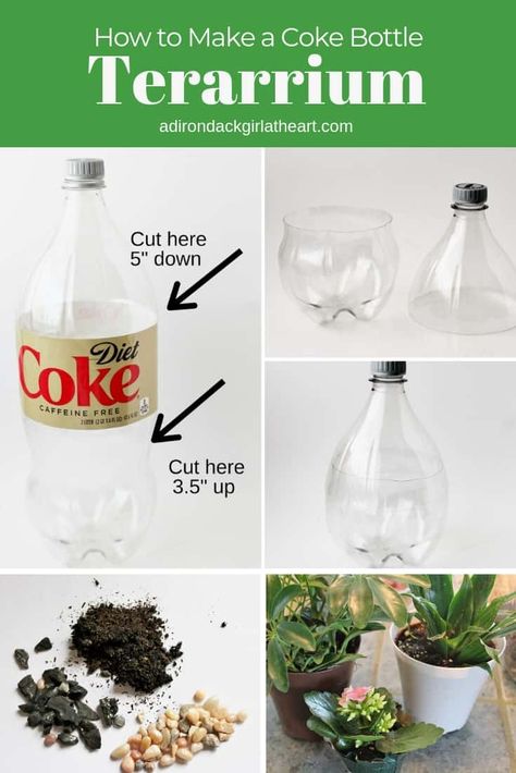 How to Make a Coke Bottle Terrarium adirondackgirlatheart.com (1) Soda Bottle Terrarium, Terrarium Ideas For Kids, Plastic Bottle Terrarium, How To Make A Terrarium, Homeschool Cabinet, Coke Bottle Crafts, Teaching Plants, Bottle Terrarium, Bottle Flowers