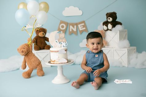 Teddy Bear Theme 1st Birthday Photoshoot, Cake Smash Bear Theme, Teddy Bear Cake Smash Photo Shoot, Teddy Bear Cake Smash, Bear Cake Smash, Smash Cake First Birthday, Teddy Bear Cake, Cake Smash Theme, Baby Birthday Photoshoot