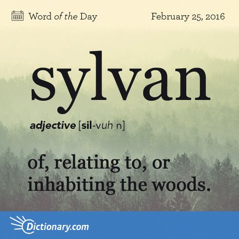 Dictionary.com’s Word of the Day - sylvan - of, relating to, or inhabiting the woods. Unique Words Definitions, Uncommon Words, Fancy Words, Unusual Words, Rare Words, Big Words, Word Definitions, Words To Use, Latin Words