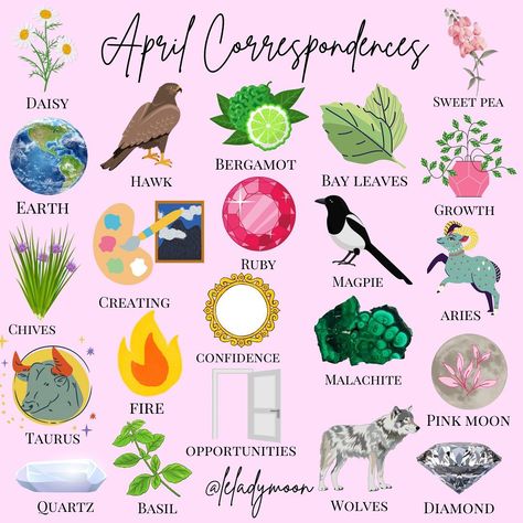 Awaken Your Inner Magic💎🌙 on Instagram: “Happy April, witches! 🌼 I posted the Planetary Forecast Calendar, Moon Phase Calendar & Moon and Mood Tracker printables for the month on…” April Correspondences, Birthday Month Flowers, Moon Phase Calendar, Wiccan Magic, Happy September, Book Of Shadow, Baby Witch, Modern Witch, Pink Moon