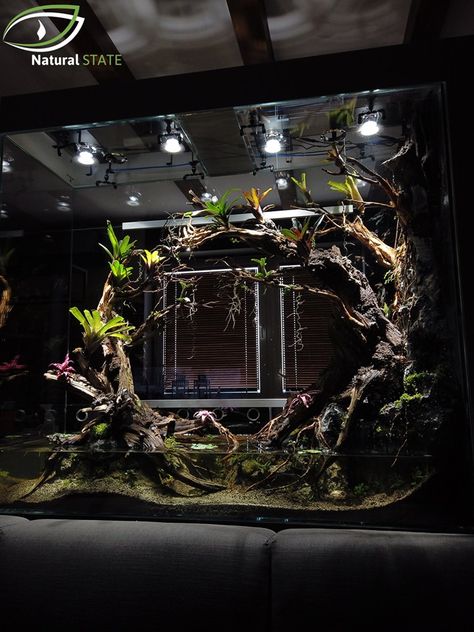 Saltwater Aquarium Setup, Aquaponics Aquarium, Water Terrarium, Wabi Kusa, Gecko Terrarium, Wall Aquarium, Amazing Aquariums, Aquascape Design, Reptile Room