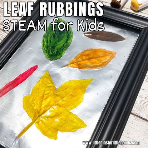 How to make leaf rubbings for kids with a few simple supplies and step by step instructions. Great fall theme art project! Leaf Rubbing Art, Thanksgiving Stem Activities, Leaf Rubbing, Leaf Rubbings, Thanksgiving Stem, Pumpkin Science, Halloween Activities Preschool, Fall Science, Autumn Leaves Craft