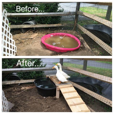 DIY duck pond with ramp and platform, made from pallets, all for under $50. Diy Duck Coop, Diy Duck Pond, Duck Pond Ideas, Duck Waterer, Duck Enclosure, Duck Pens, Backyard Ducks, Duck Coop, Duck Farming