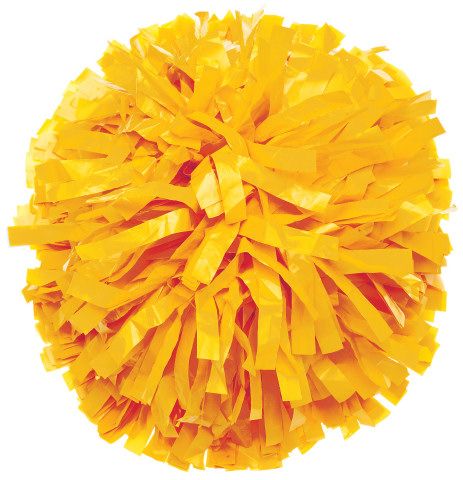 Pom Poms Aesthetic, Cheerleading Pom Poms, Cheer Pom Poms, Harry Potter Oc, Cheer Bag, Cheerleader Costume, Cheerleading Uniforms, Cheer Uniform, Cheerleading Outfits